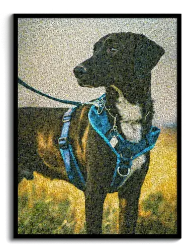 Mosaico Fotografico Personalizzato: Ritratto di Cane
